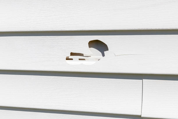 How To Choose The Right Materials for Your Siding Installation in 'Milledgeville, IL